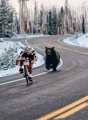 bearBiker