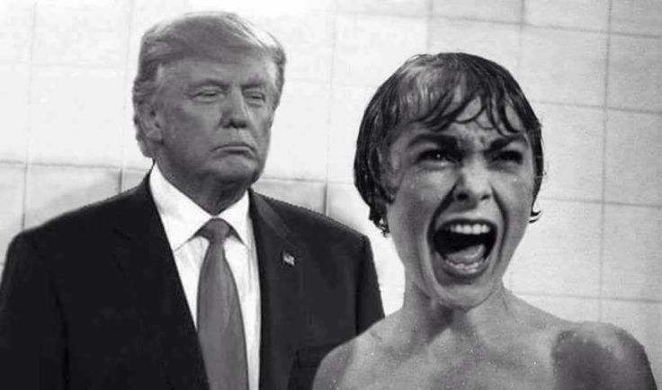 trump scream